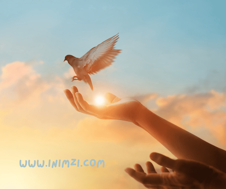 The Principle of Free Will