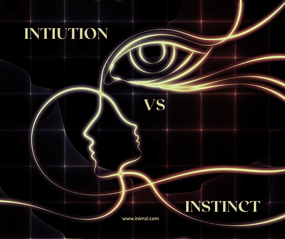 intuition vs instinct
