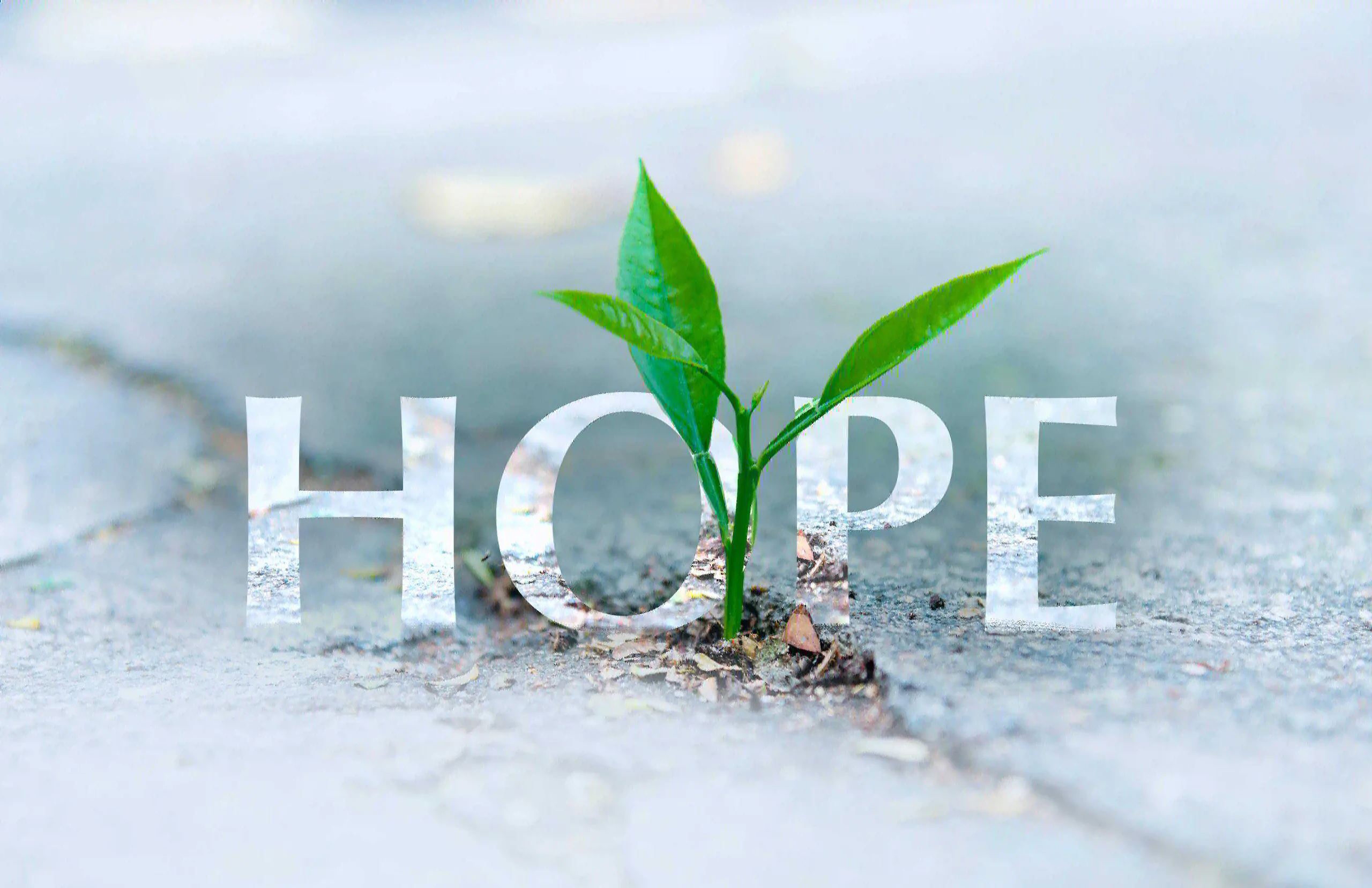 The Alchemy of Hope