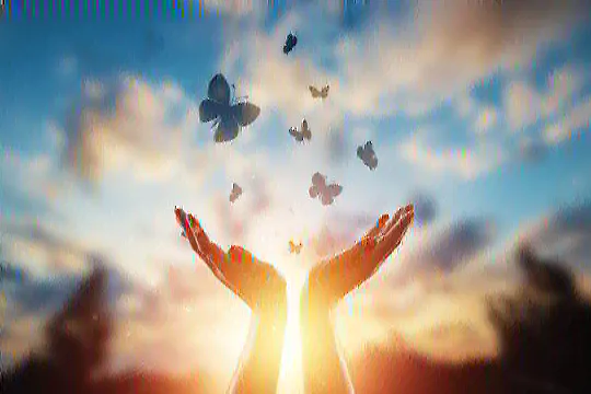 The Thread Of Hope