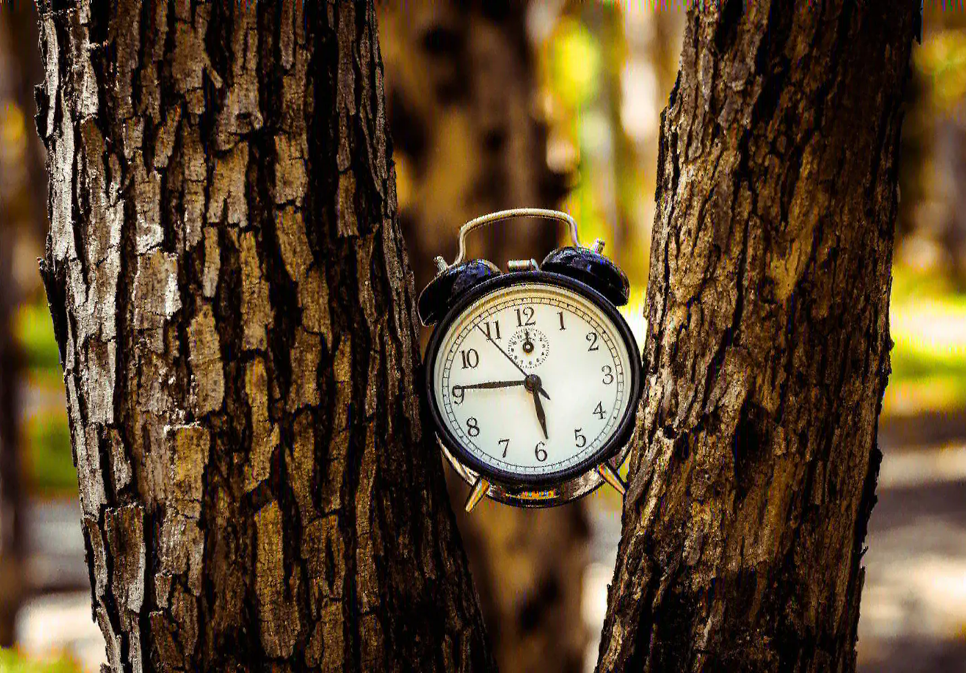 There Is No Clock
